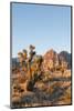 Red Rock Canyon Outside Las Vegas, Nevada, USA-Michael DeFreitas-Mounted Photographic Print