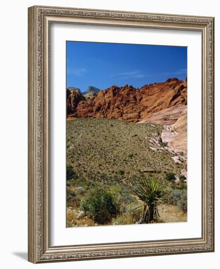 Red Rock Canyon, Spring Mountains, 15 Miles West of Las Vegas in the Mojave Desert, Nevada, USA-Fraser Hall-Framed Photographic Print