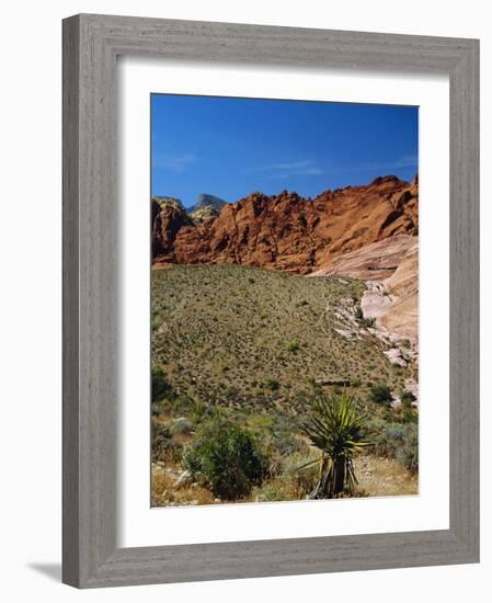 Red Rock Canyon, Spring Mountains, 15 Miles West of Las Vegas in the Mojave Desert, Nevada, USA-Fraser Hall-Framed Photographic Print