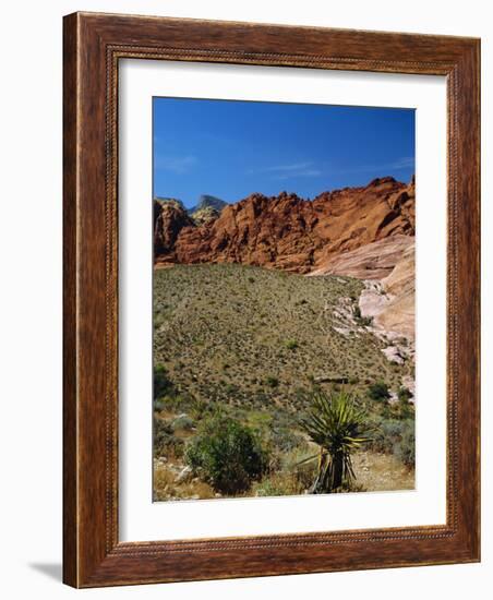 Red Rock Canyon, Spring Mountains, 15 Miles West of Las Vegas in the Mojave Desert, Nevada, USA-Fraser Hall-Framed Photographic Print