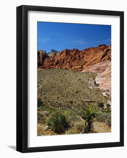 Red Rock Canyon, Spring Mountains, 15 Miles West of Las Vegas in the Mojave Desert, Nevada, USA-Fraser Hall-Framed Photographic Print