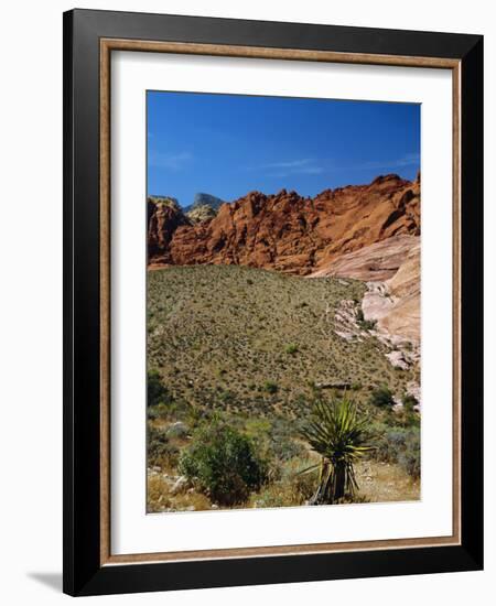 Red Rock Canyon, Spring Mountains, 15 Miles West of Las Vegas in the Mojave Desert, Nevada, USA-Fraser Hall-Framed Photographic Print