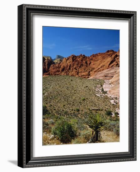Red Rock Canyon, Spring Mountains, 15 Miles West of Las Vegas in the Mojave Desert, Nevada, USA-Fraser Hall-Framed Photographic Print