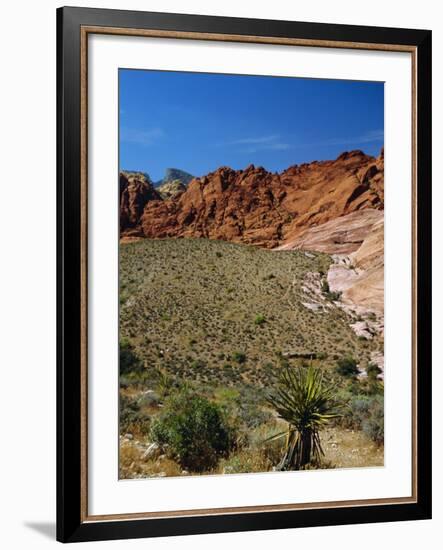 Red Rock Canyon, Spring Mountains, 15 Miles West of Las Vegas in the Mojave Desert, Nevada, USA-Fraser Hall-Framed Photographic Print