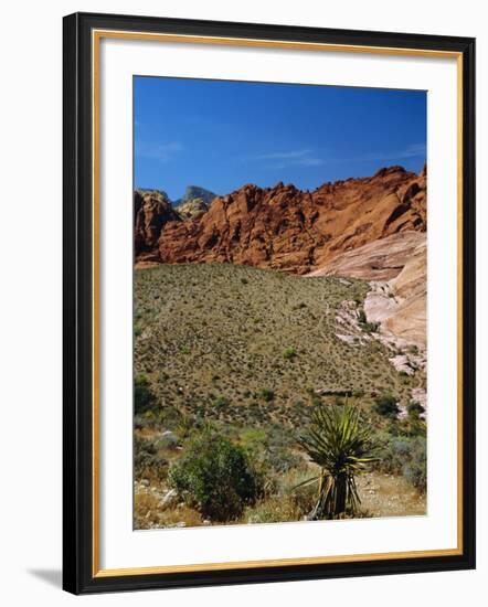 Red Rock Canyon, Spring Mountains, 15 Miles West of Las Vegas in the Mojave Desert, Nevada, USA-Fraser Hall-Framed Photographic Print