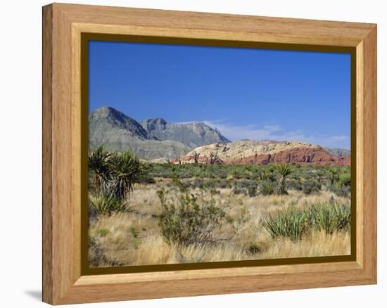 Red Rock Canyon, Spring Mountains, 15 Miles West of Las Vegas in the Mojave Desert, Nevada, USA-Fraser Hall-Framed Premier Image Canvas
