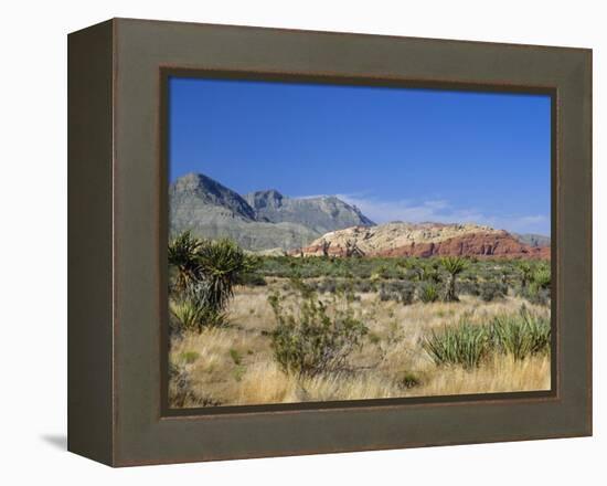 Red Rock Canyon, Spring Mountains, 15 Miles West of Las Vegas in the Mojave Desert, Nevada, USA-Fraser Hall-Framed Premier Image Canvas