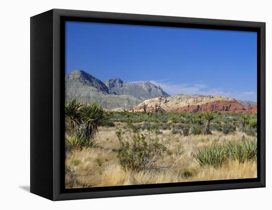 Red Rock Canyon, Spring Mountains, 15 Miles West of Las Vegas in the Mojave Desert, Nevada, USA-Fraser Hall-Framed Premier Image Canvas