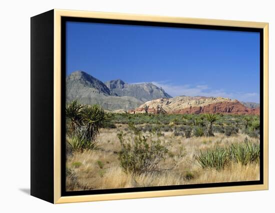 Red Rock Canyon, Spring Mountains, 15 Miles West of Las Vegas in the Mojave Desert, Nevada, USA-Fraser Hall-Framed Premier Image Canvas