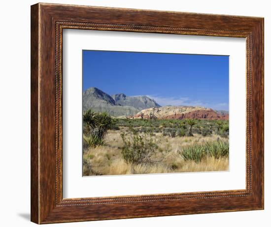 Red Rock Canyon, Spring Mountains, 15 Miles West of Las Vegas in the Mojave Desert, Nevada, USA-Fraser Hall-Framed Photographic Print