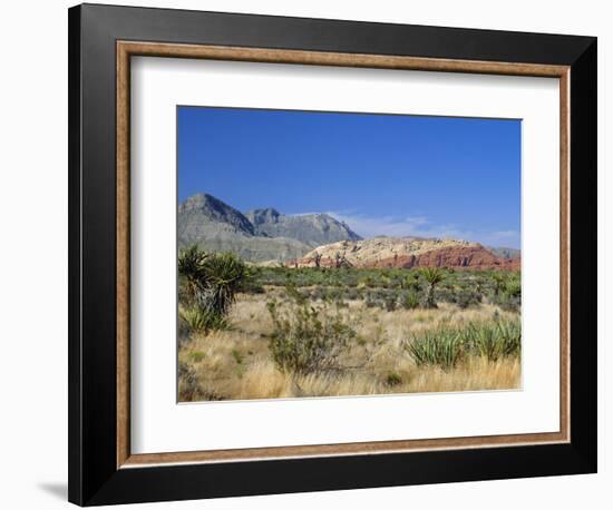 Red Rock Canyon, Spring Mountains, 15 Miles West of Las Vegas in the Mojave Desert, Nevada, USA-Fraser Hall-Framed Photographic Print