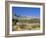 Red Rock Canyon, Spring Mountains, 15 Miles West of Las Vegas in the Mojave Desert, Nevada, USA-Fraser Hall-Framed Photographic Print