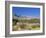 Red Rock Canyon, Spring Mountains, 15 Miles West of Las Vegas in the Mojave Desert, Nevada, USA-Fraser Hall-Framed Photographic Print