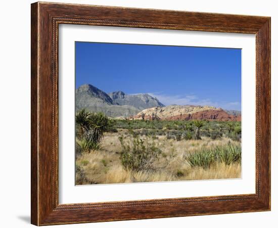 Red Rock Canyon, Spring Mountains, 15 Miles West of Las Vegas in the Mojave Desert, Nevada, USA-Fraser Hall-Framed Photographic Print