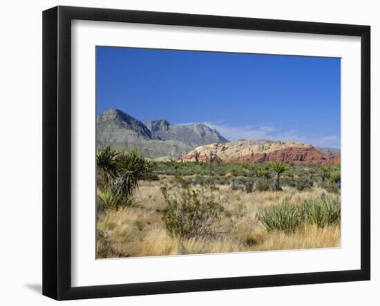 Red Rock Canyon, Spring Mountains, 15 Miles West of Las Vegas in the Mojave Desert, Nevada, USA-Fraser Hall-Framed Photographic Print