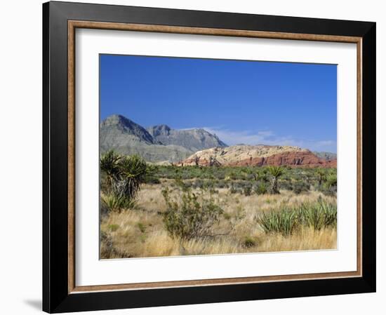 Red Rock Canyon, Spring Mountains, 15 Miles West of Las Vegas in the Mojave Desert, Nevada, USA-Fraser Hall-Framed Photographic Print