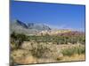 Red Rock Canyon, Spring Mountains, 15 Miles West of Las Vegas in the Mojave Desert, Nevada, USA-Fraser Hall-Mounted Photographic Print