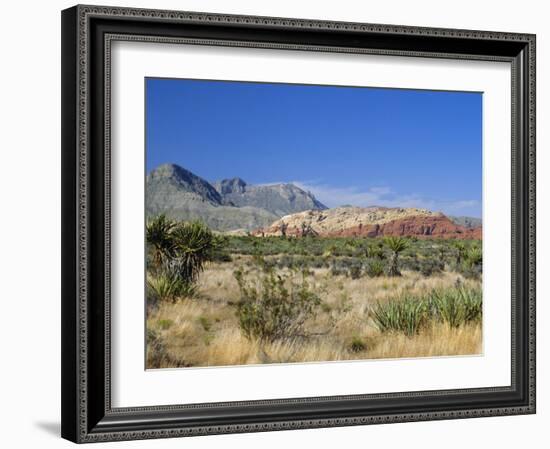 Red Rock Canyon, Spring Mountains, 15 Miles West of Las Vegas in the Mojave Desert, Nevada, USA-Fraser Hall-Framed Photographic Print