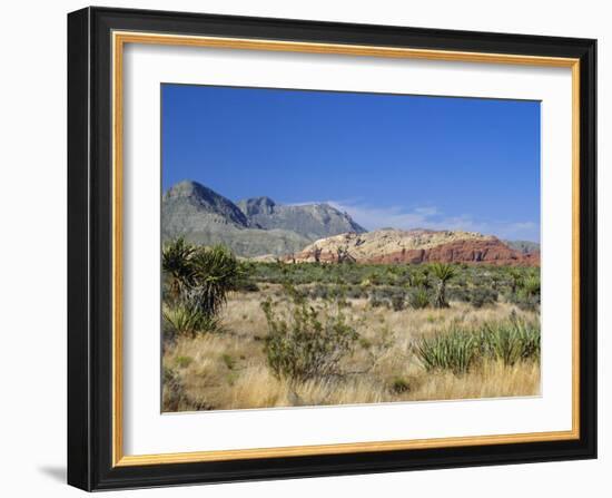 Red Rock Canyon, Spring Mountains, 15 Miles West of Las Vegas in the Mojave Desert, Nevada, USA-Fraser Hall-Framed Photographic Print