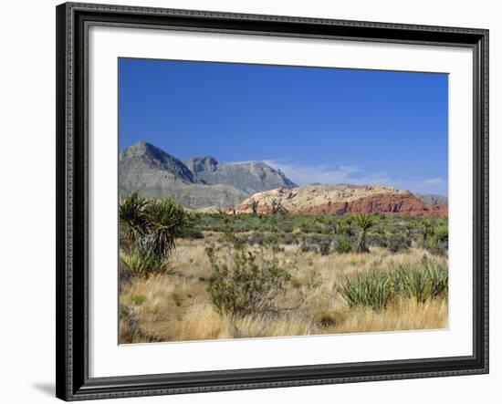 Red Rock Canyon, Spring Mountains, 15 Miles West of Las Vegas in the Mojave Desert, Nevada, USA-Fraser Hall-Framed Photographic Print