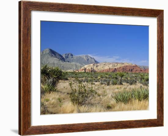 Red Rock Canyon, Spring Mountains, 15 Miles West of Las Vegas in the Mojave Desert, Nevada, USA-Fraser Hall-Framed Photographic Print