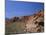 Red Rock Canyon, Spring Mountains, Mojave Desert, Near Las Vegas, Nevada, USA-Fraser Hall-Mounted Photographic Print