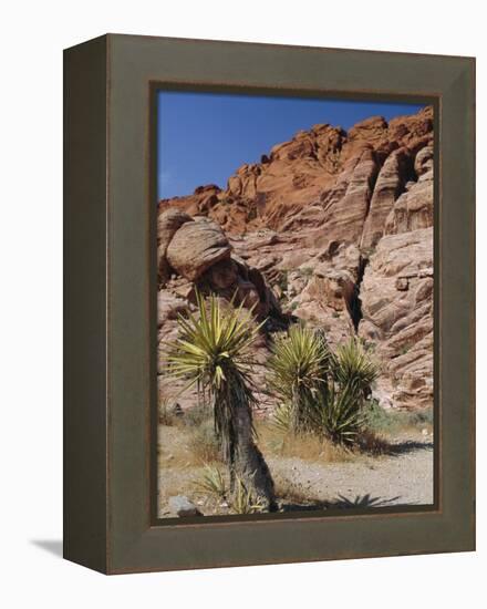 Red Rock Canyon, Spring Mountains, Mojave Desert, Near Las Vegas, Nevada, USA-Fraser Hall-Framed Premier Image Canvas