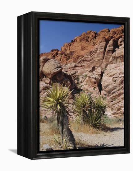 Red Rock Canyon, Spring Mountains, Mojave Desert, Near Las Vegas, Nevada, USA-Fraser Hall-Framed Premier Image Canvas