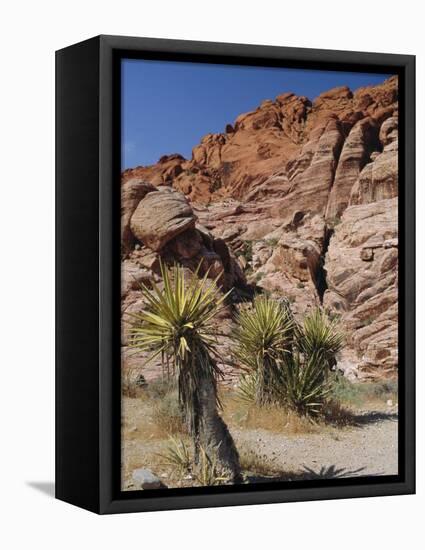 Red Rock Canyon, Spring Mountains, Mojave Desert, Near Las Vegas, Nevada, USA-Fraser Hall-Framed Premier Image Canvas