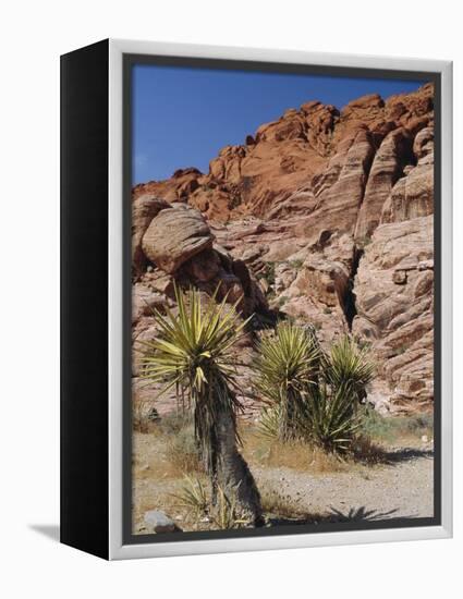 Red Rock Canyon, Spring Mountains, Mojave Desert, Near Las Vegas, Nevada, USA-Fraser Hall-Framed Premier Image Canvas