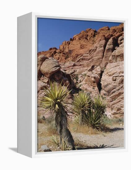 Red Rock Canyon, Spring Mountains, Mojave Desert, Near Las Vegas, Nevada, USA-Fraser Hall-Framed Premier Image Canvas