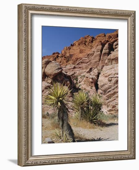 Red Rock Canyon, Spring Mountains, Mojave Desert, Near Las Vegas, Nevada, USA-Fraser Hall-Framed Photographic Print