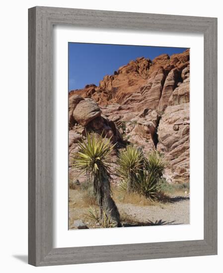 Red Rock Canyon, Spring Mountains, Mojave Desert, Near Las Vegas, Nevada, USA-Fraser Hall-Framed Photographic Print