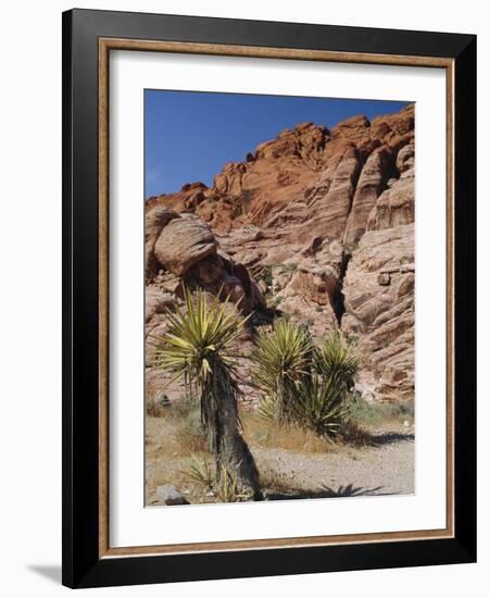 Red Rock Canyon, Spring Mountains, Mojave Desert, Near Las Vegas, Nevada, USA-Fraser Hall-Framed Photographic Print