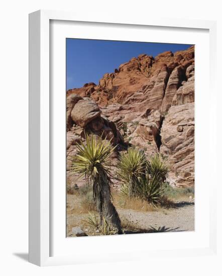 Red Rock Canyon, Spring Mountains, Mojave Desert, Near Las Vegas, Nevada, USA-Fraser Hall-Framed Photographic Print