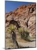 Red Rock Canyon, Spring Mountains, Mojave Desert, Near Las Vegas, Nevada, USA-Fraser Hall-Mounted Photographic Print