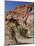 Red Rock Canyon, Spring Mountains, Mojave Desert, Near Las Vegas, Nevada, USA-Fraser Hall-Mounted Photographic Print