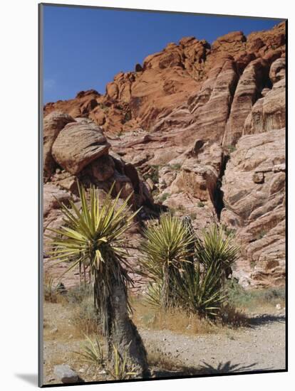 Red Rock Canyon, Spring Mountains, Mojave Desert, Near Las Vegas, Nevada, USA-Fraser Hall-Mounted Photographic Print