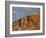 Red Rock Cliff With Snow, Carson National Forest, New Mexico-James Hager-Framed Photographic Print