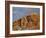 Red Rock Cliff With Snow, Carson National Forest, New Mexico-James Hager-Framed Photographic Print