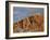 Red Rock Cliff With Snow, Carson National Forest, New Mexico-James Hager-Framed Photographic Print