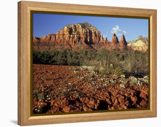 Red Rock Country, Sedona, Arizona, USA-Jamie & Judy Wild-Framed Premier Image Canvas