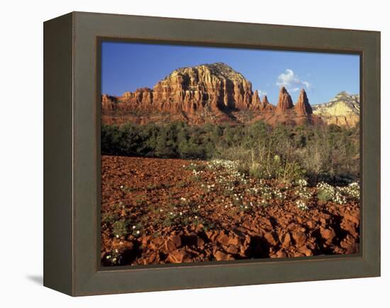 Red Rock Country, Sedona, Arizona, USA-Jamie & Judy Wild-Framed Premier Image Canvas