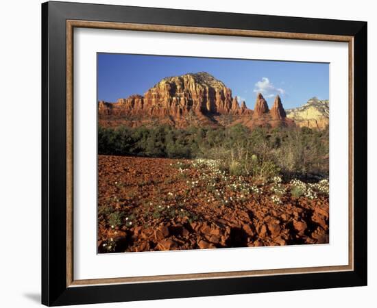 Red Rock Country, Sedona, Arizona, USA-Jamie & Judy Wild-Framed Photographic Print