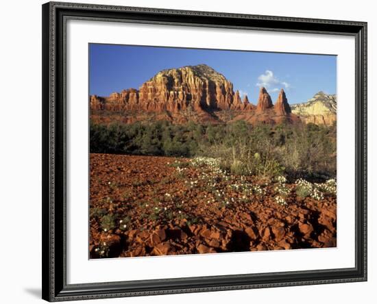 Red Rock Country, Sedona, Arizona, USA-Jamie & Judy Wild-Framed Photographic Print