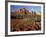 Red Rock Country, Sedona, Arizona, USA-Jamie & Judy Wild-Framed Photographic Print