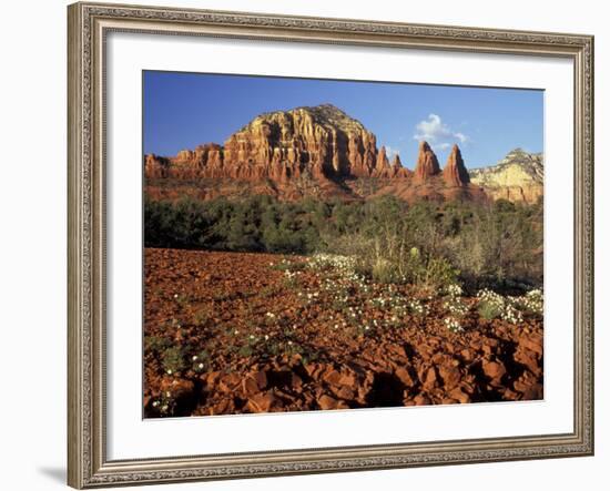 Red Rock Country, Sedona, Arizona, USA-Jamie & Judy Wild-Framed Photographic Print