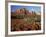 Red Rock Country, Sedona, Arizona, USA-Jamie & Judy Wild-Framed Photographic Print