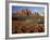 Red Rock Country, Sedona, Arizona, USA-Jamie & Judy Wild-Framed Photographic Print