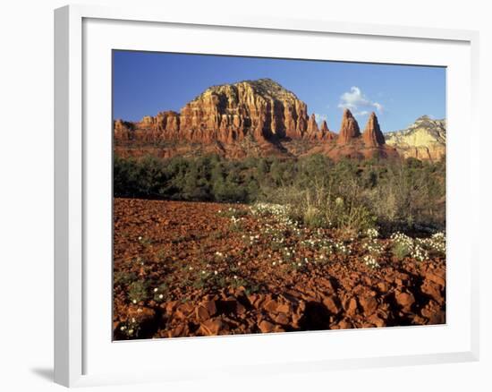 Red Rock Country, Sedona, Arizona, USA-Jamie & Judy Wild-Framed Photographic Print